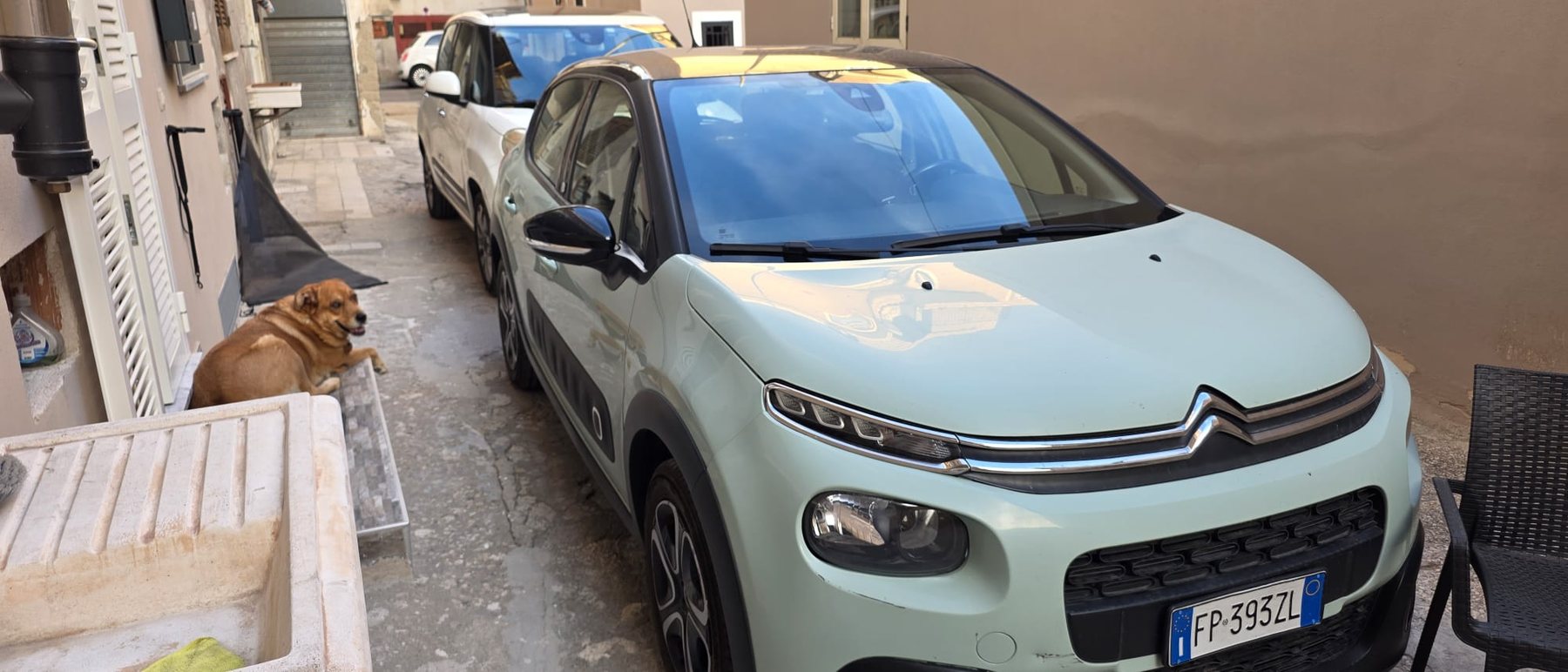 Citroën C3 PureTech 82 Shine usata Torchiara Cilento - foto 5